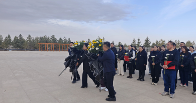 祭扫先烈寄哀思 笃行不怠强党性——阿拉善盟中心医院党委开展清明祭扫主题党日活动