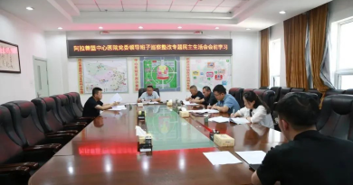 深化巡察整改强思想 凝聚发展合力促提升 ——阿拉善盟中心医院党委召开领导班子巡察整改 专题民主生活会会前集中学习